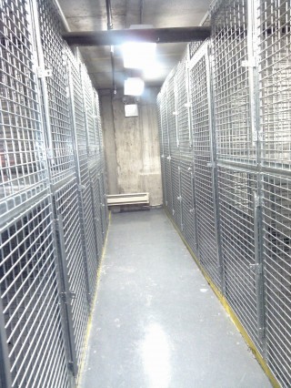 Tenant Storage Cages Brooklyn NY 11201